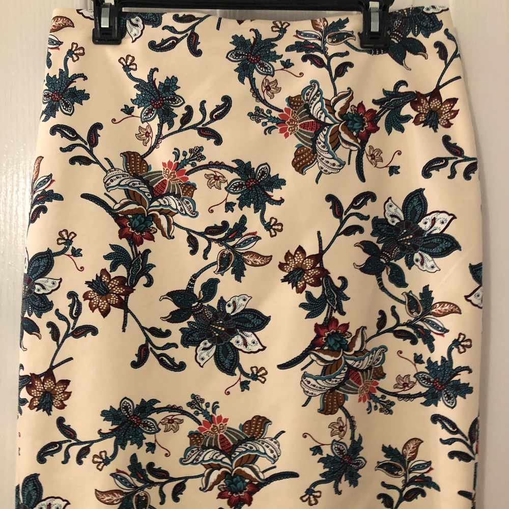 Ann Taylor Loft skirt